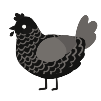 Dunwich, a black and grey chicken with a lace pattern