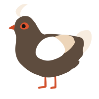 A bark and cream chicken