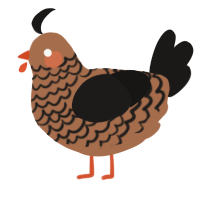 A brown and sable chicken with a lace pattern