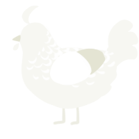 Iowa, a white chicken with a half-lace pattern