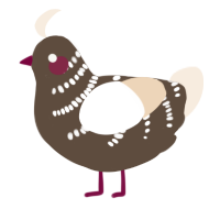A bark and cream chicken with a half-bar pattern