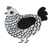 A mist and sable chicken with a lace pattern