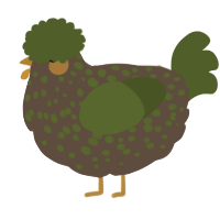 A bark and olive chicken with a speckle pattern