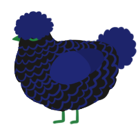 A sable and navy chicken with a lace pattern