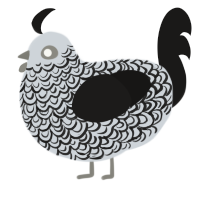 A mist and sable chicken with a double-lace pattern