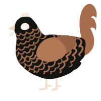A black and brown chicken with a lace pattern