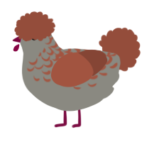 A ash and russet chicken with a half-lace pattern