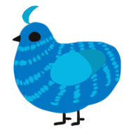 Jaz, a sapphire and cerulean chicken with a bar pattern