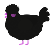 A black chicken with a speckle pattern
