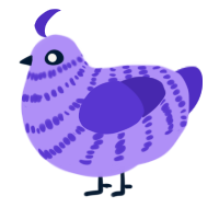 (unnamed), a lilac and indigo chicken with a bar pattern