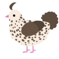A cream and bark chicken with a speckle pattern