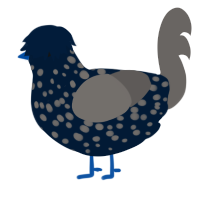 Popples, a tumblr and grey chicken with a speckle pattern