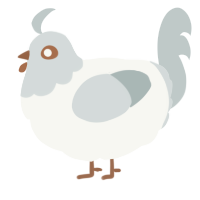 A white and silver chicken with a head pattern