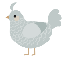 A silver chicken with a lace pattern