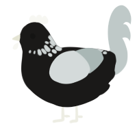 spoopy, a sable and silver chicken with a neck-speckle pattern