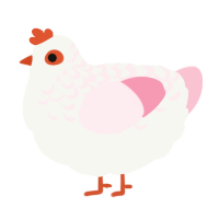 A white and rose chicken with a half-lace pattern
