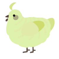 A apple and lemon chicken with a half-bar pattern