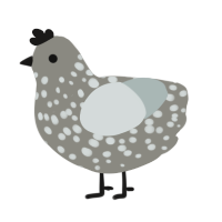 (unnamed), a ash and silver chicken with a speckle pattern