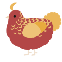 A red and honey chicken with a half-lace pattern