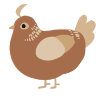 A brown and beige chicken with a neck-band pattern