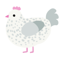 A white and silver chicken with a speckle pattern