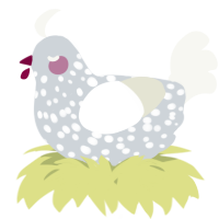 A mist and white chicken with a speckle pattern