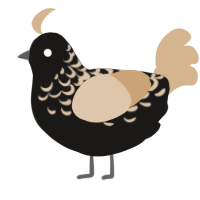 A sable and beige chicken with a half-lace pattern