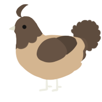 A beige and bark chicken with a head pattern