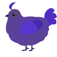 A overcast and indigo chicken with a lace pattern