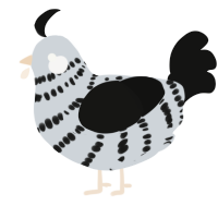 A mist and black chicken with a bar pattern
