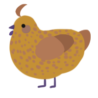 A gold and brown chicken with a speckle pattern