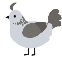 A mist and grey chicken with a neck-speckle pattern