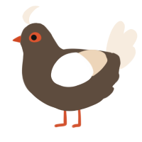 A bark and cream chicken