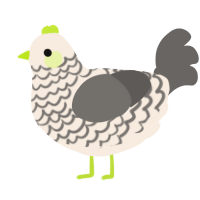 A cream and grey chicken with a lace pattern