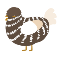 A bark and cream chicken with a bar pattern