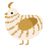 A cream and gold chicken with a bar pattern