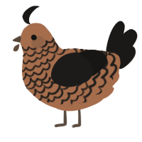 A brown and sable chicken with a lace pattern