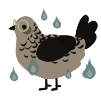 A beige and sable chicken with a half-lace pattern