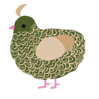 A olive and beige chicken with a double-lace pattern
