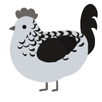 A mist and sable chicken with a half-lace pattern