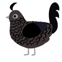 A silver and white chicken with a lace pattern