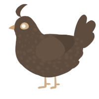 A bark chicken with a speckle pattern