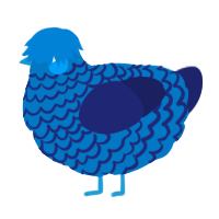 A sapphire and navy chicken with a lace pattern