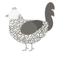 Æscwine, a white and grey chicken with a double-lace pattern