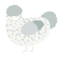 A white and silver chicken with a speckle pattern