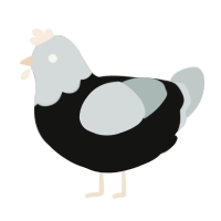 (unnamed), a black and silver chicken with a head pattern