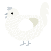 cottonball, a white chicken with a lace pattern