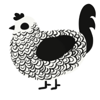 A white and black chicken with a double-lace pattern