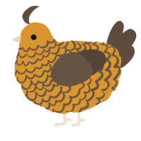 A orange and bark chicken with a lace pattern
