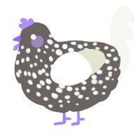 A grey and white chicken with a speckle pattern